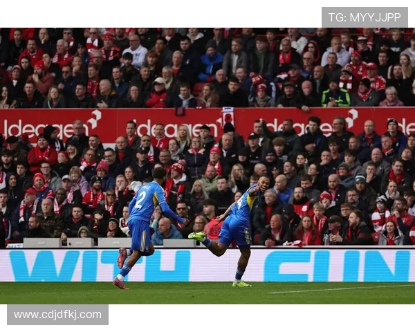 富勒姆对阵桑德兰精彩直播全程回顾与赛后分析