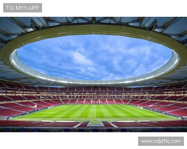 德国球场与西甲球场的对比分析探讨足球文化与观赛体验的差异