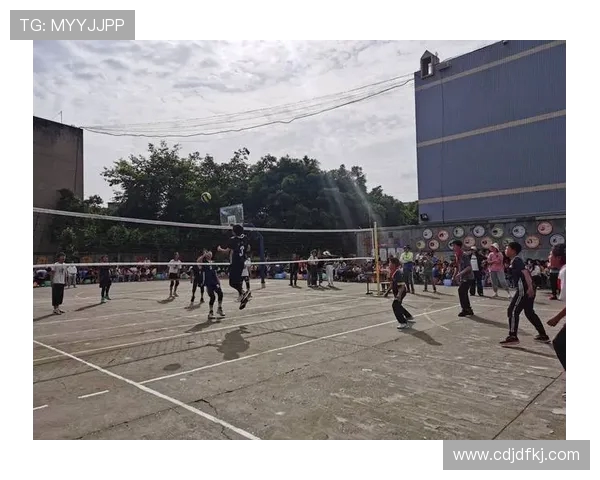 陈敏的排球之路：从赛场到人生的启示与反思