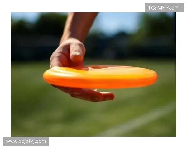 飞盘灵活性排行榜揭晓深圳飞盘队荣登第五名引关注