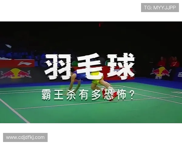 杭州羽毛球队反击之路：胜负背后的策略与启示分析