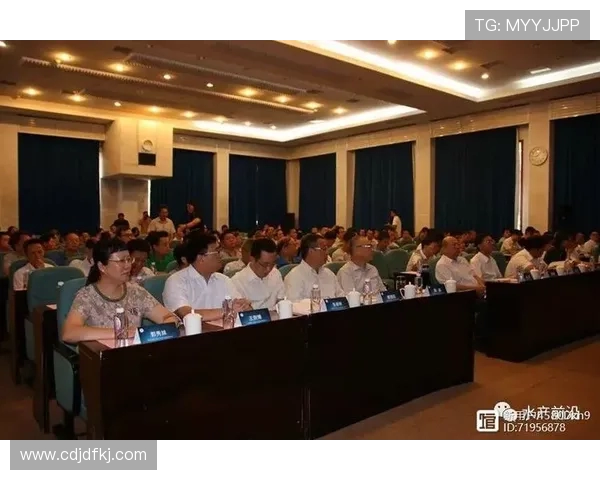 武汉羽毛球队的转型之路与未来发展趋势深度解析