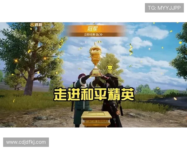 专访李磊揭秘和平精英成功背后的策略与创新之路