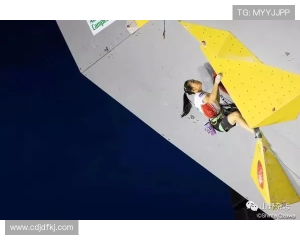 北京攀岩队在全国个人能力排行榜中荣登第九名展现实力与潜力 北京攀岩队在全国个人能力排行榜中荣登第九名展现实力与潜力