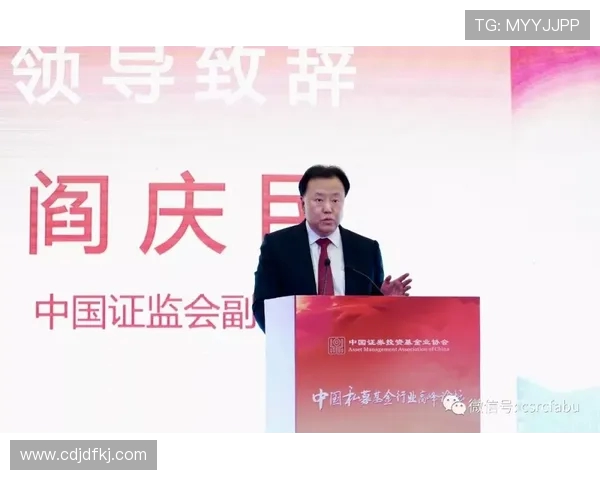 北京羽毛球队的转型之路与未来发展展望探讨