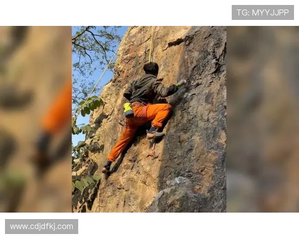 南京攀岩队的区域防守策略与技术深度解析