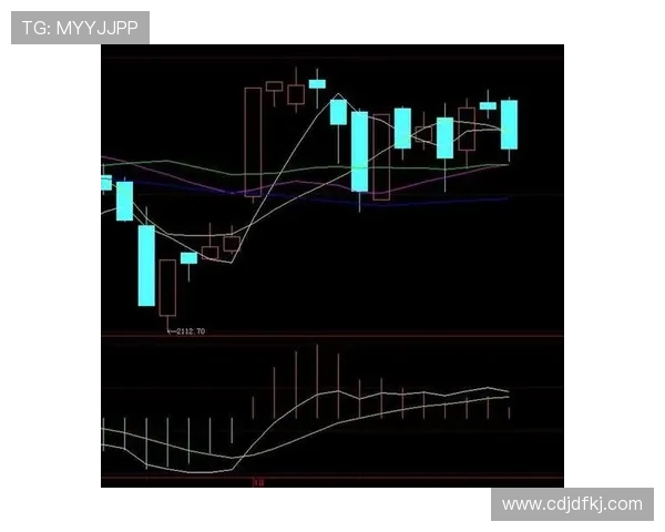 成都羽毛球队防守策略分析与比赛表现的得失总结