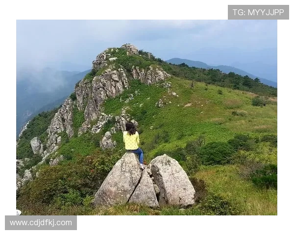 杭州极限运动队速度表现分析与提升策略探讨